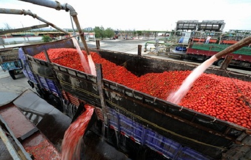 خرید رب گوجه فرنگی فله ایرانی