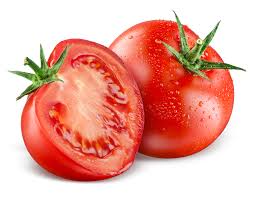 صادرات رب گوجه فرنگی با بریکس 18