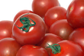 قیمت انواع رب گوجه بریکس 25