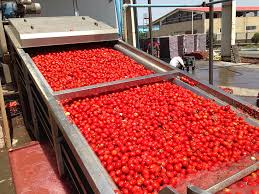 کارخانه تولید رب گوجه در ارومیه