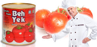 اعطای نمایندگی رب گوجه مرغوب 800 گرمی