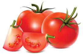 فروش انواع رب گوجه حلب بریکس27