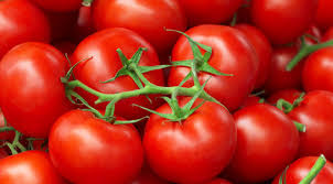فروش انواع رب گوجه بامداد 800 گرمی