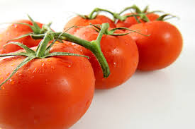 قیمت تولید رب گوجه پیچک