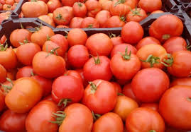 قیمت خرید رب گوجه بهدیس