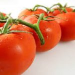 پخش انواع رب گوجه