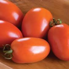 قیمت روز رب گوجه سطلی ۳ کیلویی