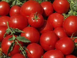 نمایندگی فروش رب گوجه فرنگی صادراتی