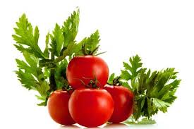 تولید کننده رب گوجه فرنگی بهشاد