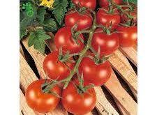 قیمت بهترین رب گوجه فرنگی بهناز