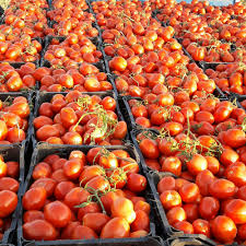 کارخانه تولید رب گوجه فرنگی حلب