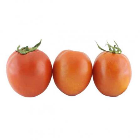 اطلاعاتی درباره گوجه فرنگی گلخانه ای