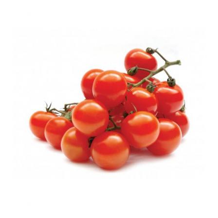 توزیع کنندگان گوجه گیلاسی کیلویی