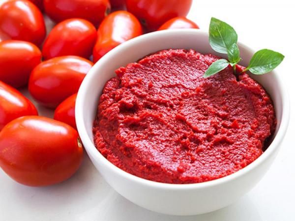 صادرات ویژه رب گوجه فرنگی جدید