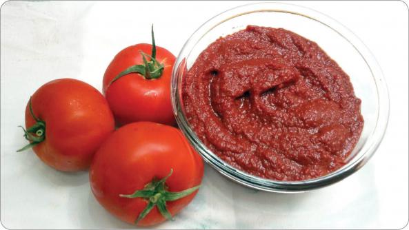 صادرات انواع رب گوجه فرنگی ساری