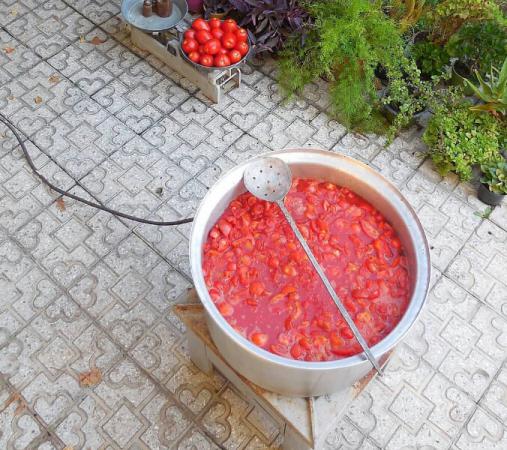 نمایندگی عرضه رب گوجه ارگانیک