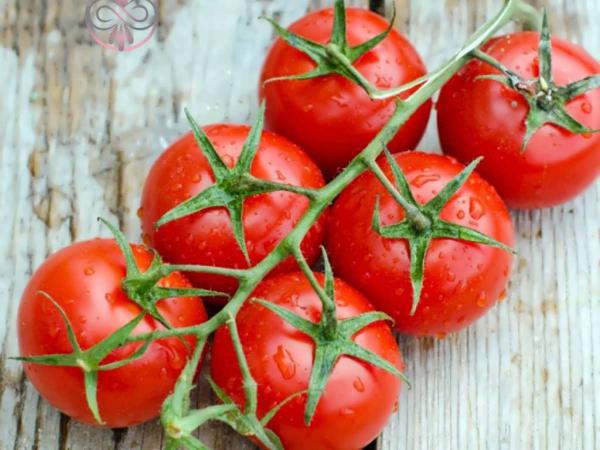 بررسی بازار صادرات انواع گوجه چری گیلاسی