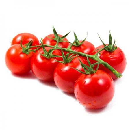 مزایا فروش مستقیم گوجه گیلاسی کیلویی