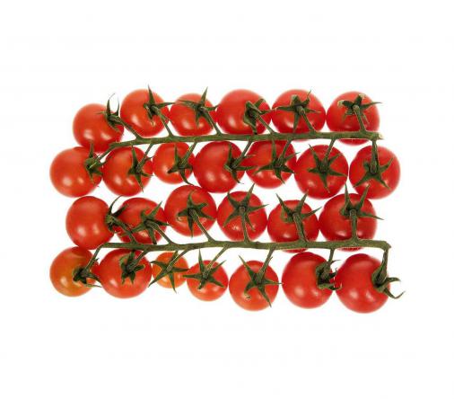 شرکت صادراتی گوجه فرنگی زیتونی