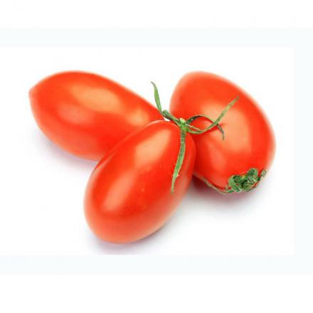 بازار فروش گوجه گلخانه ای صادراتی همدان