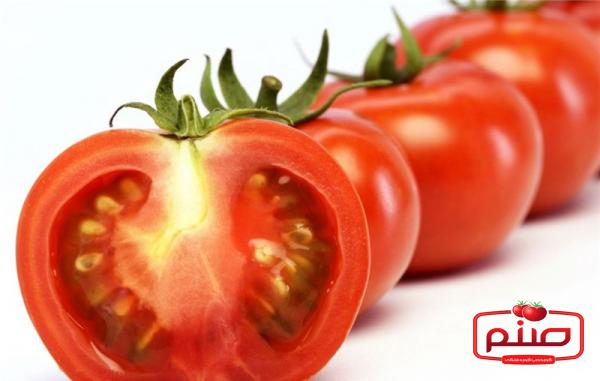 توزیع کنندگان رب گوجه فرنگی صادراتی