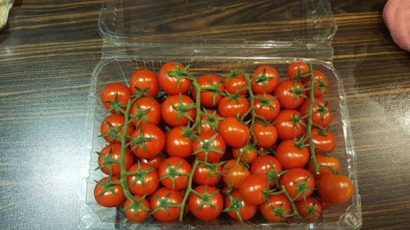 قیمت باورنکردنی گوجه گیلاسی بسته بندی