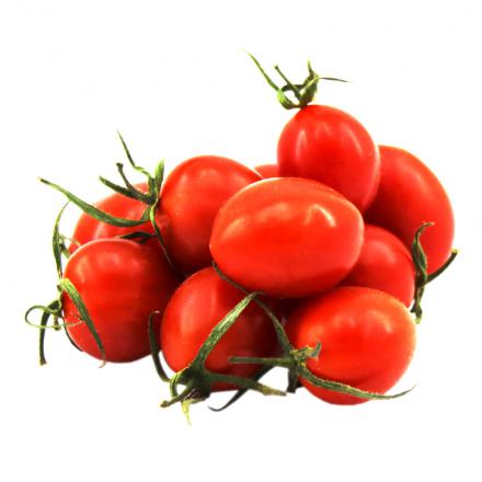 علت صادرات انواع گوجه زیتونی سانتیاگو