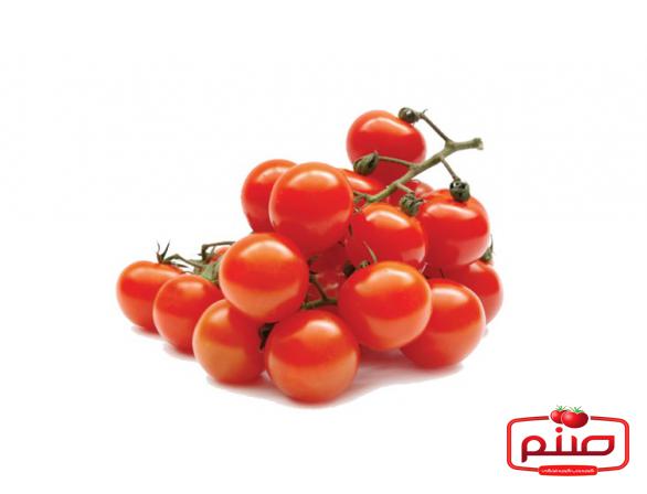بررسی خواص آنتی اکسیدانی گوجه فرنگی