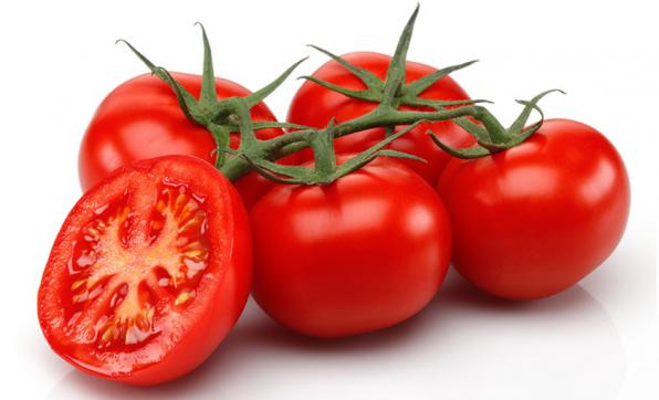 بررسی تخصصی قیمت گوجه گلخانه ای صادراتی