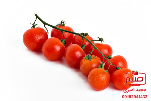 کاهش وزن با گوجه فرنگی