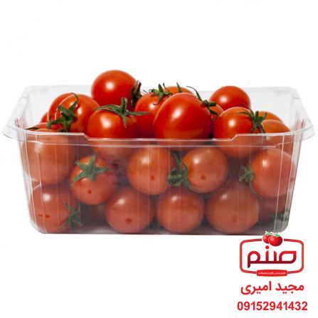 شرکت پخش  گوجه گیلاسی بسته بندی