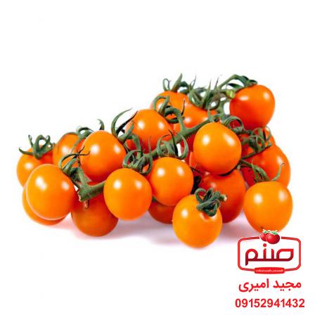 مزایا خرید مستقیم  گوجه گیلاسی گلخانه ای