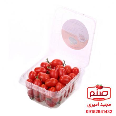 خرید مستقیم گوجه گیلاسی گلخانه ای