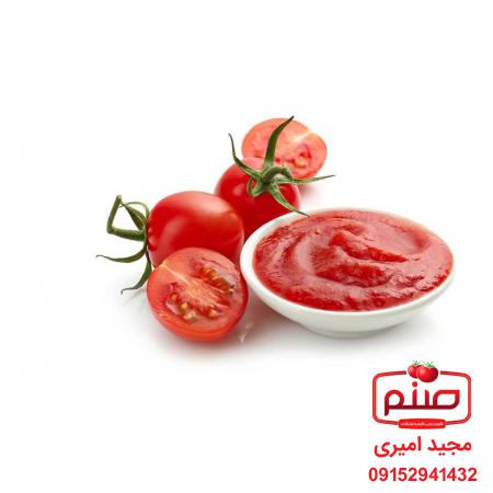 شرکت پخش رب گوجه فرنگی اسپتیک
