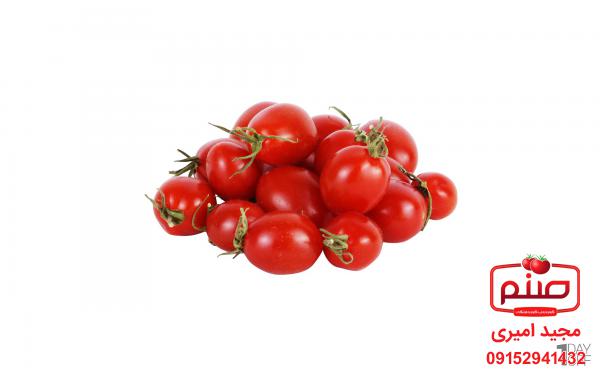 مشخصات انواع گوجه گیلاسی صادراتی