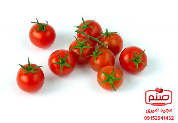 صادرات انواع گوجه چری زیتونی