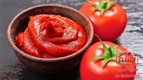 آشنایی با ویتامین های رب گوجه