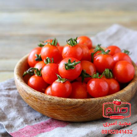 مشخصات انواع گوجه چری اصفهان