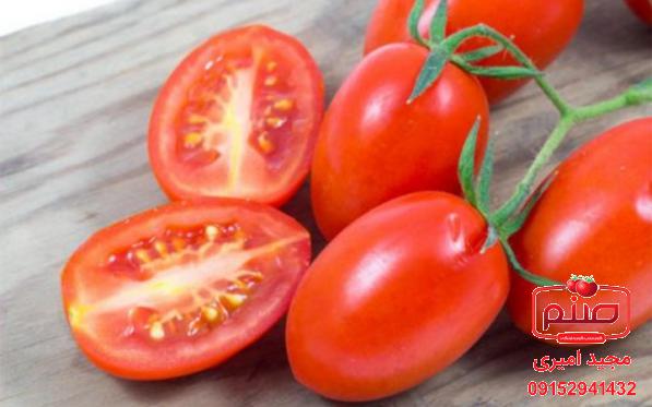 موارد مصرف گوجه ریز زیتونی