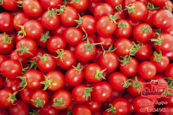 موارد مصرف گوجه گیلاسی مجلسی