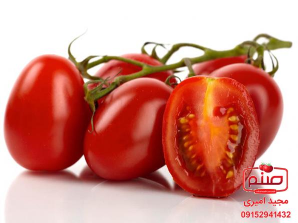 بررسی قیمت گوجه زیتونی جگوار