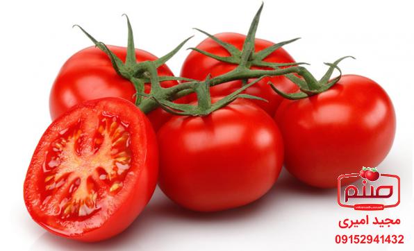 قیمت روز گوجه گلخانه ای صادراتی اصفهان