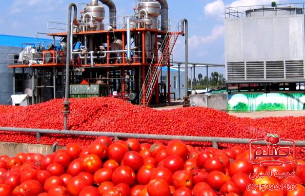 تولید کننده رب گوجه فرنگی خوب