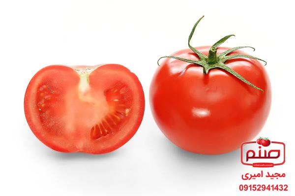 شرکت صادراتی گوجه گلخانه ای 4129