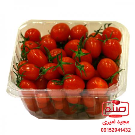 فروش انواع گوجه گیلاسی بسته بندی
