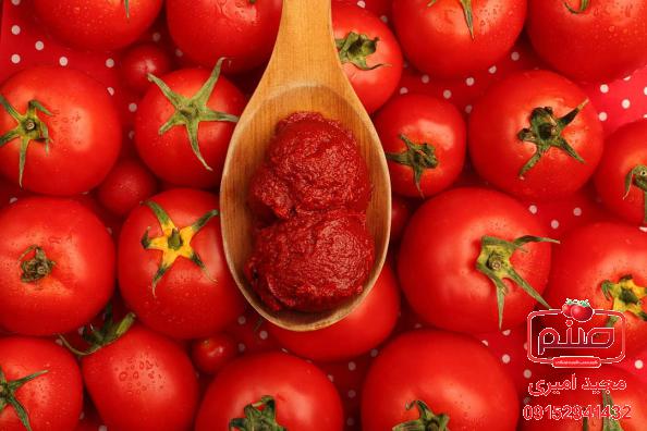 خرید ارزان رب گوجه فرنگی جدید