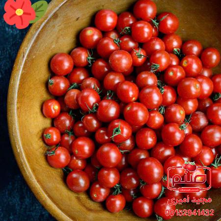 مشخصات گوجه فرنگی ارگانیک
