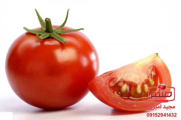 کیفیت انواع گوجه فرنگی صادراتی