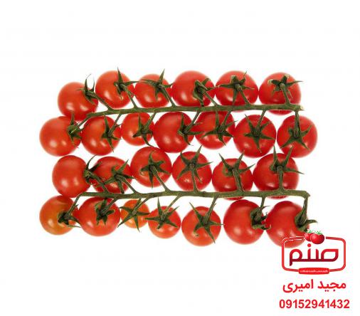 مراکز فروش گوجه زیتونی اصفهان