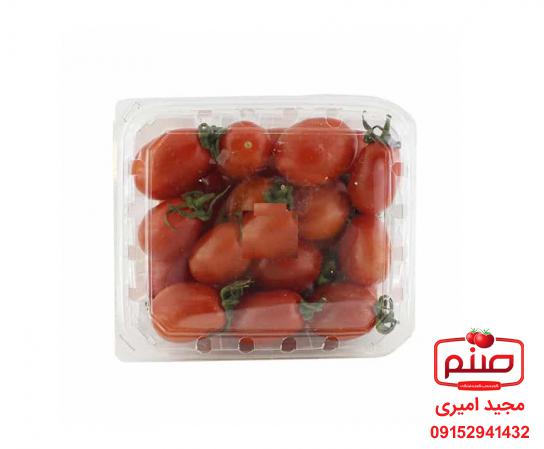 فروش استثنایی گوجه گیلاسی بسته بندی